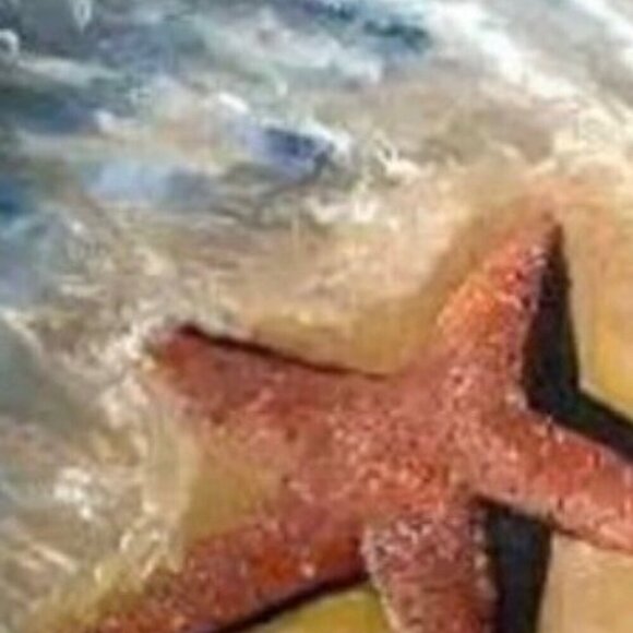 Sea Stars - Picture 2 of 6